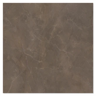 Marmor Klinker Croce Brun Blank-Polerad Rak 120x120 cm
